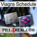 Viagra Schedule 38